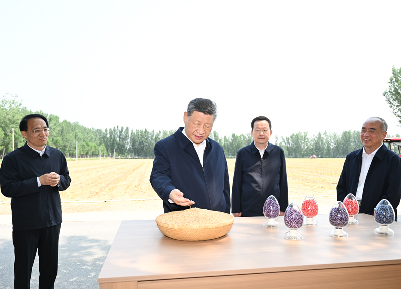 mg游戏试玩