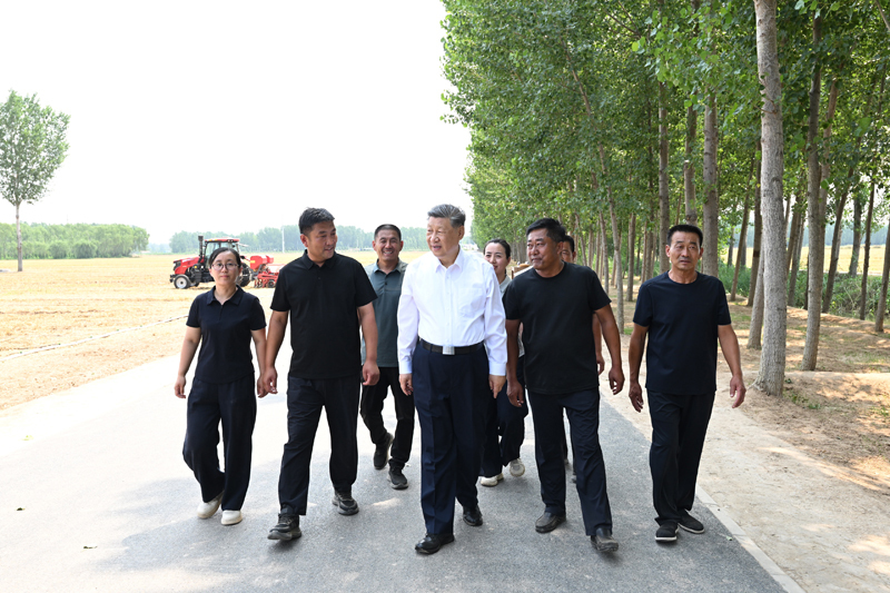 mg游戏试玩
