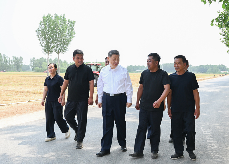 mg游戏试玩