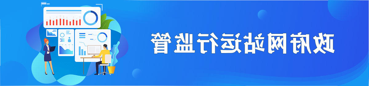 政府网站运行监管