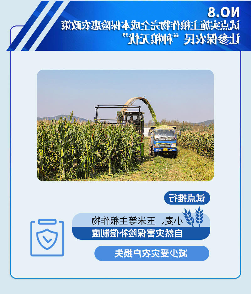 试点实施主粮作物完全成本保险惠农政策 让参保农民"种粮无忧"