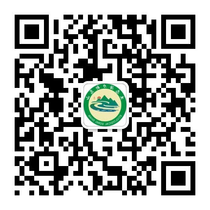 活力嵩山（微信）