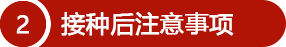 mg游戏试玩