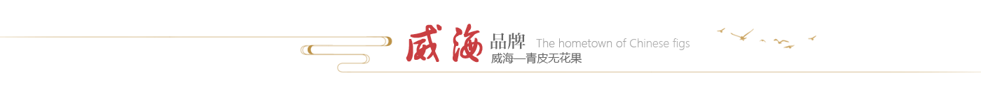 mg游戏试玩