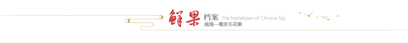 mg游戏试玩