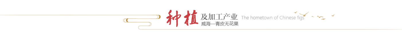 mg游戏试玩