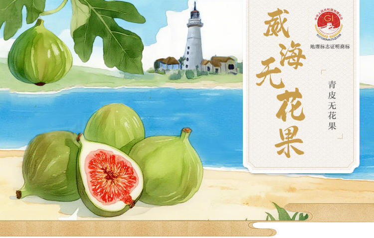 mg游戏试玩