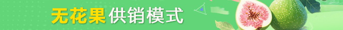 mg游戏试玩