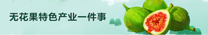 mg游戏试玩