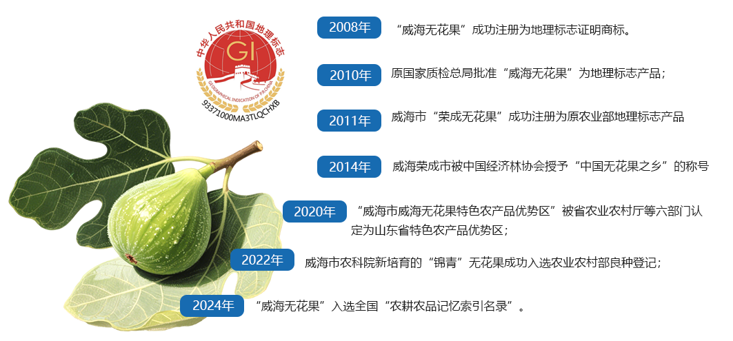 mg游戏试玩