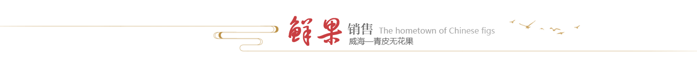 mg游戏试玩