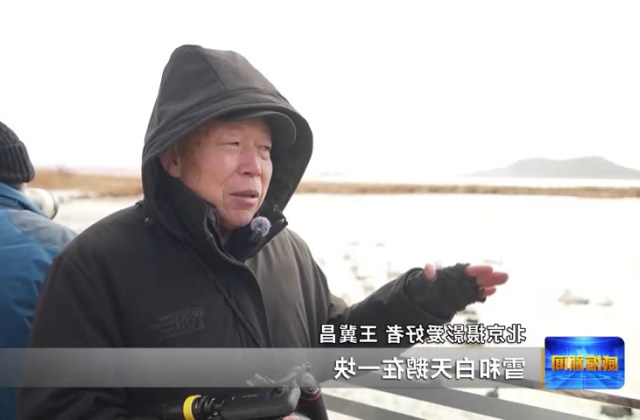 mg游戏试玩