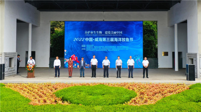 mg游戏试玩
