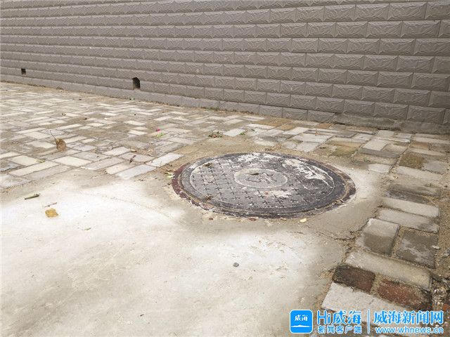 mg游戏试玩