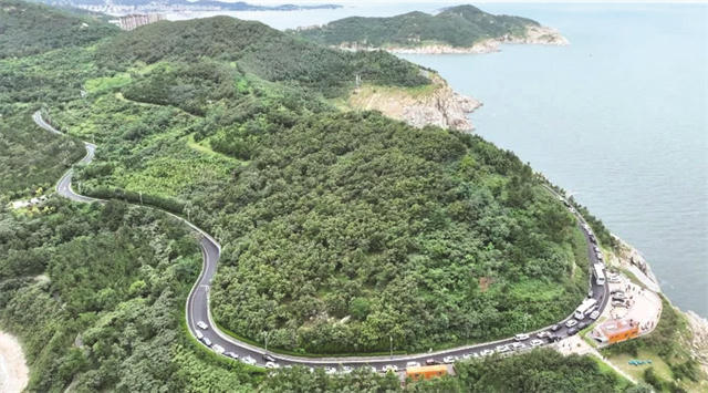 mg游戏试玩