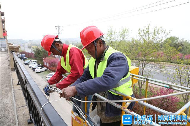 mg游戏试玩