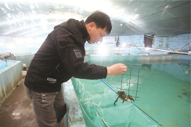mg游戏试玩
