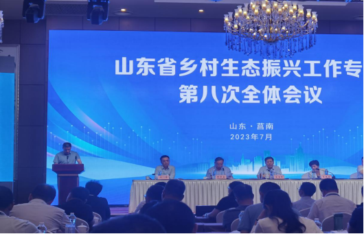 mg游戏试玩