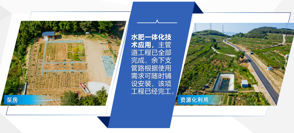 mg游戏试玩