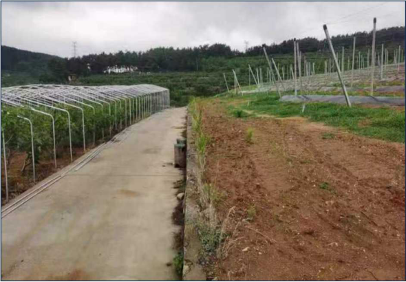 mg游戏试玩