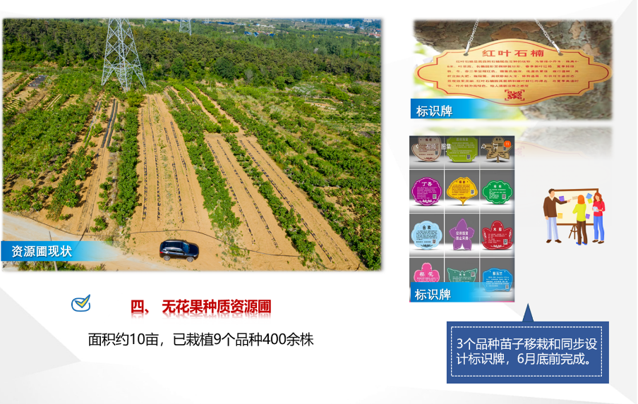 mg游戏试玩