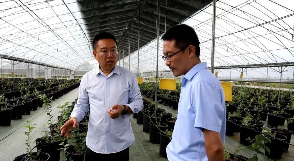 mg游戏试玩