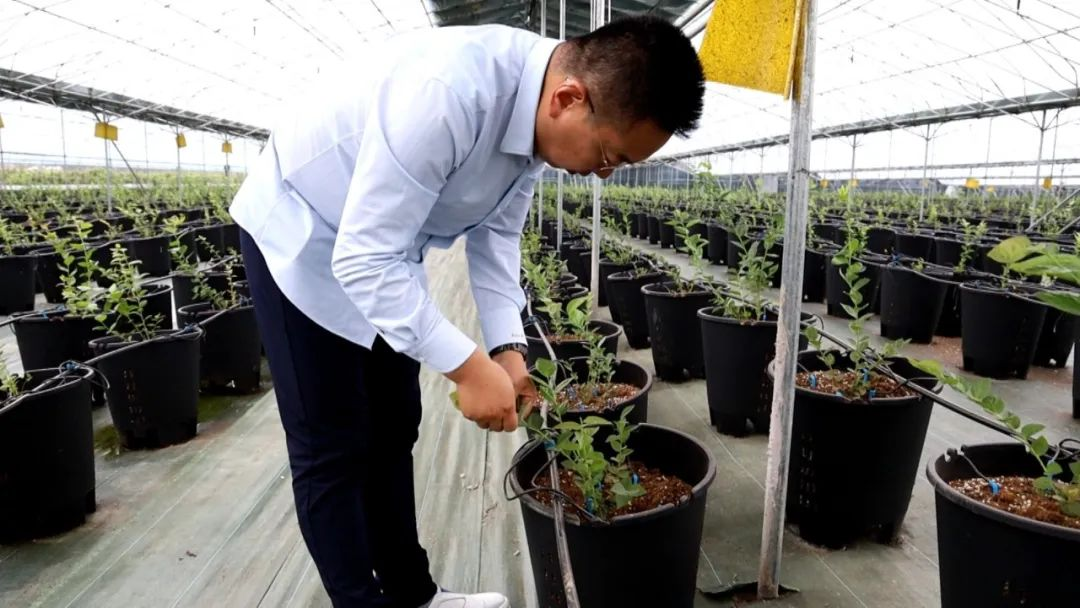 mg游戏试玩