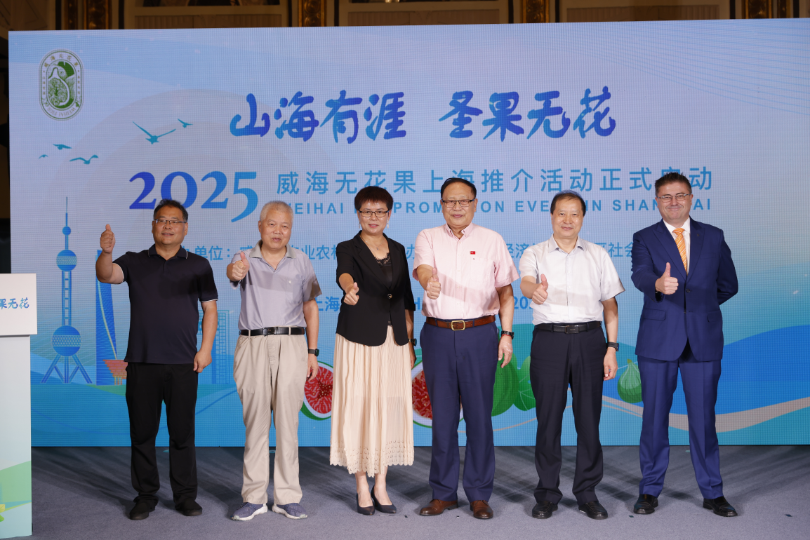 2025-08-21_15-34-40.png mg游戏试玩