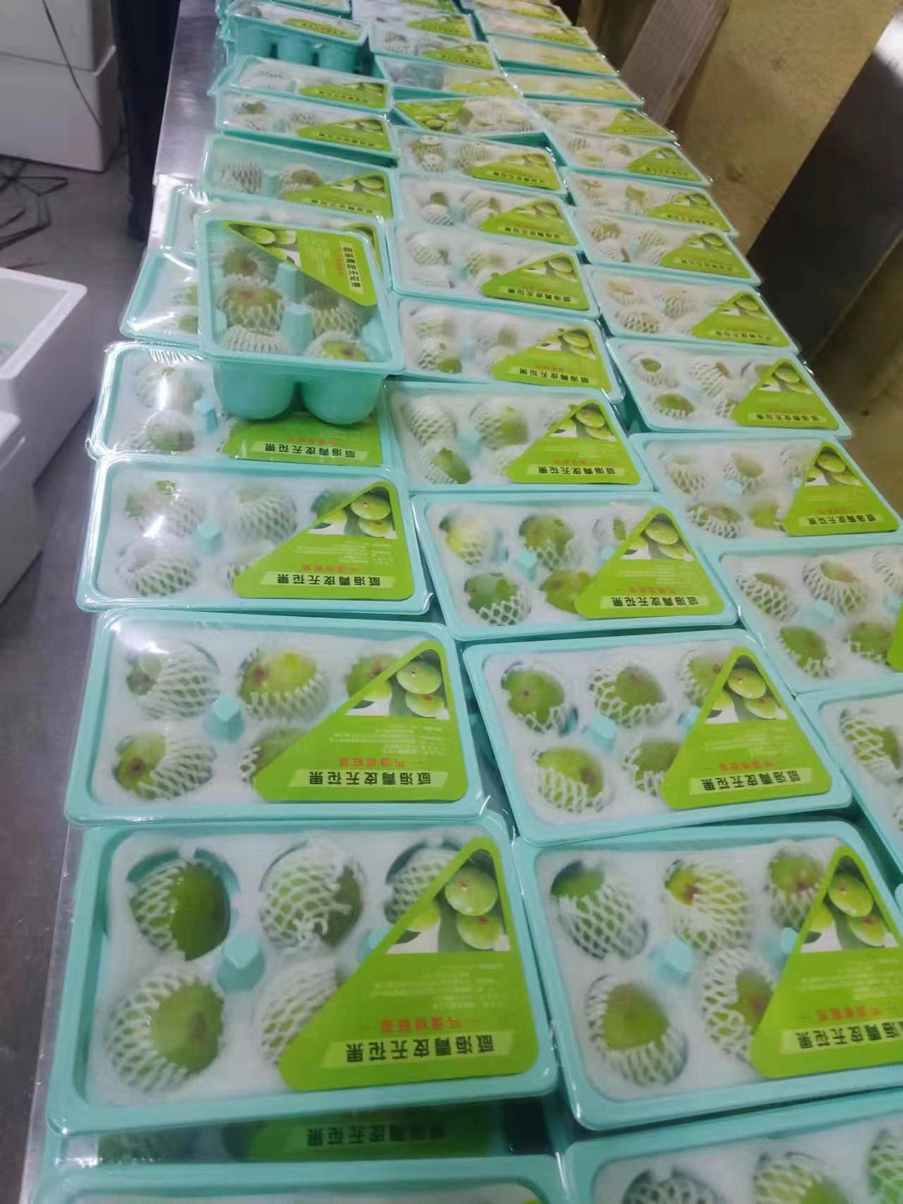 5.jpg mg游戏试玩