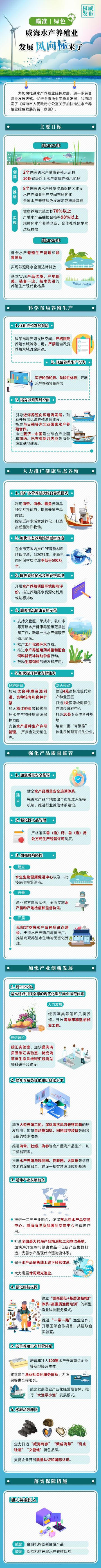 mg游戏试玩