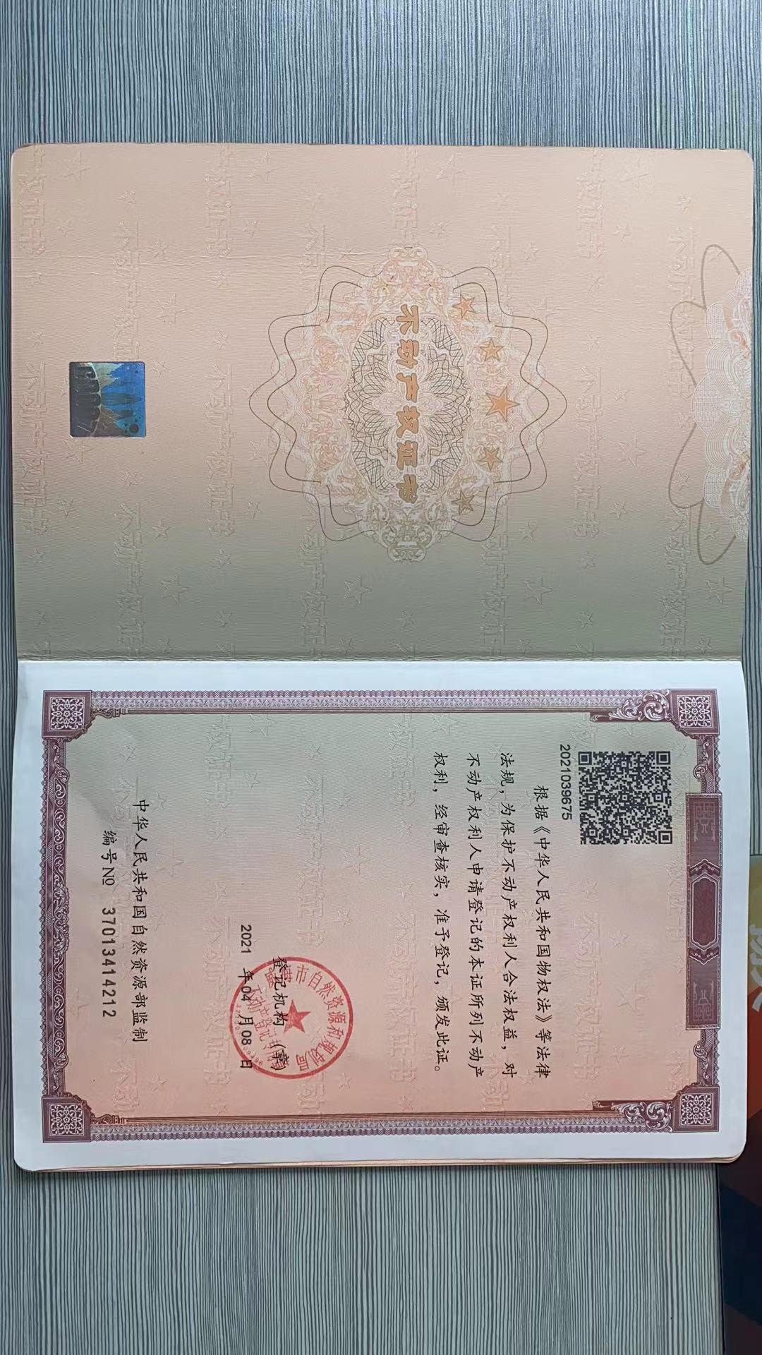 mg游戏试玩