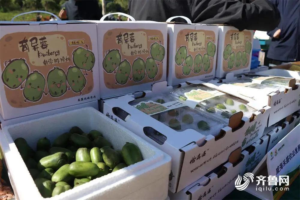 mg游戏试玩