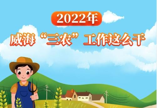 mg游戏试玩