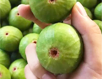 mg游戏试玩