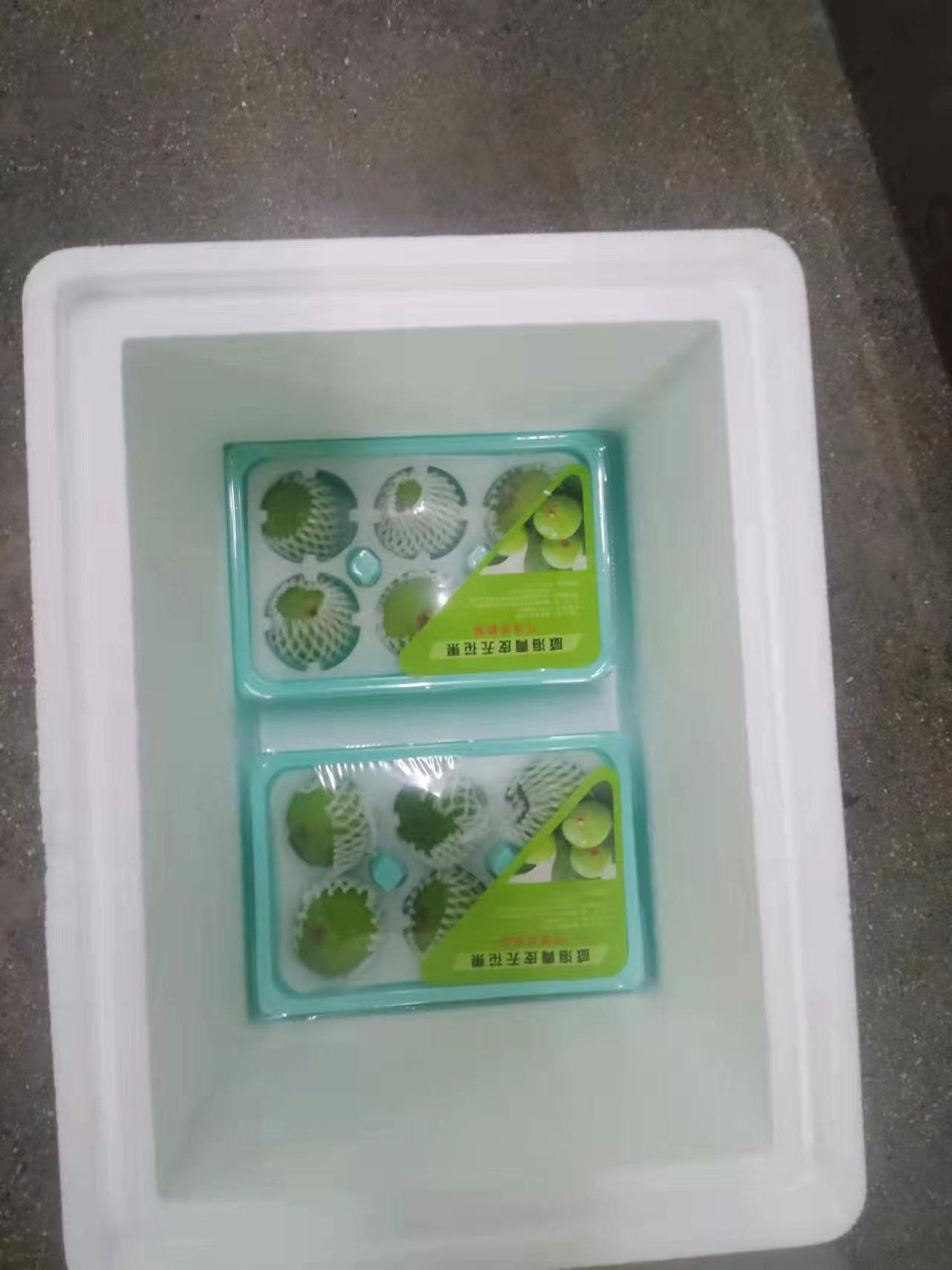 mg游戏试玩