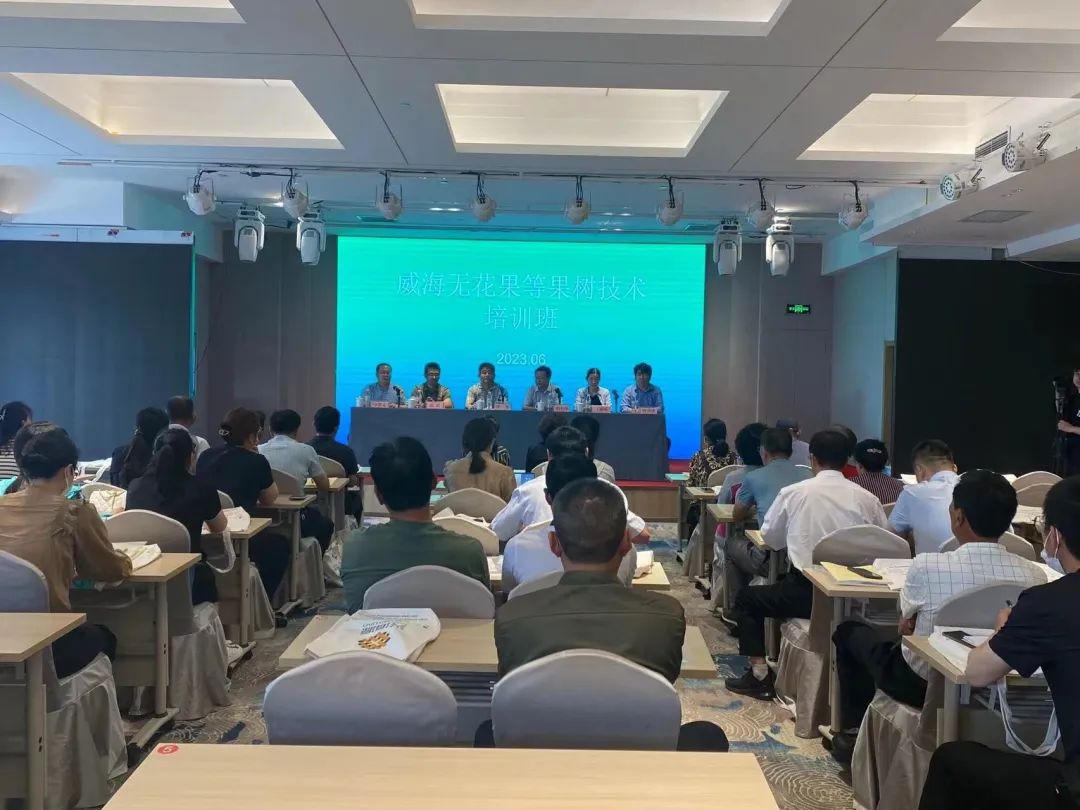 mg游戏试玩