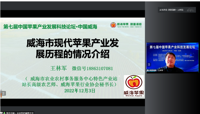 12.png mg游戏试玩