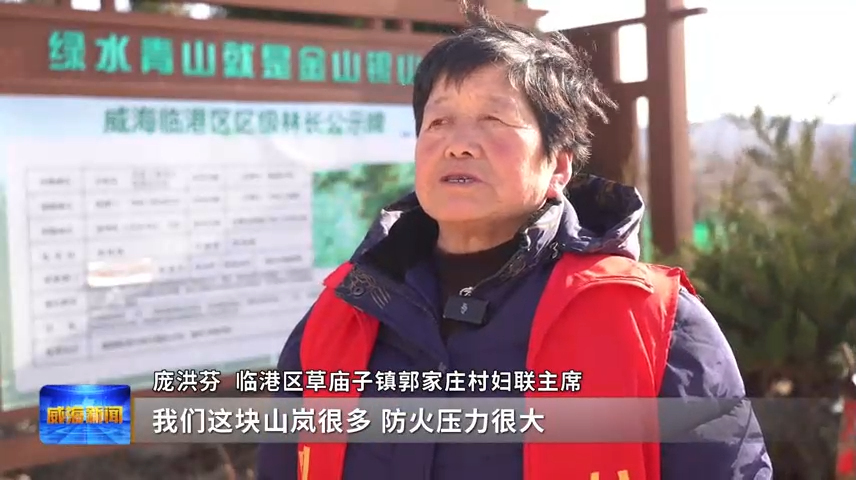 mg游戏试玩