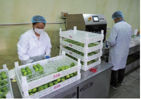 mg游戏试玩
