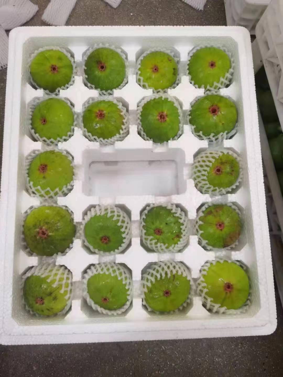 8.jpg mg游戏试玩