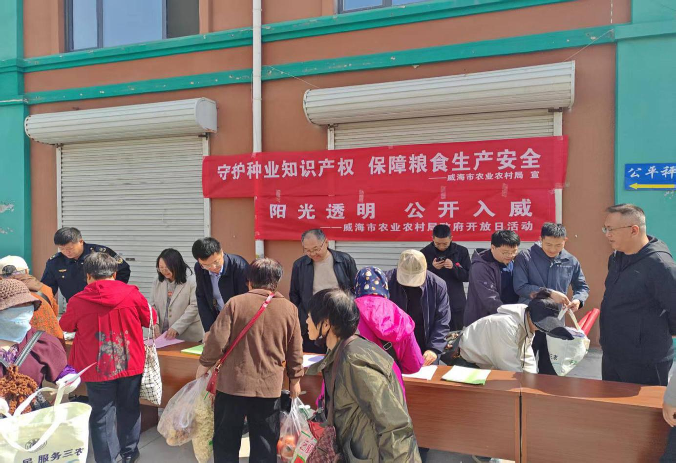 mg游戏试玩