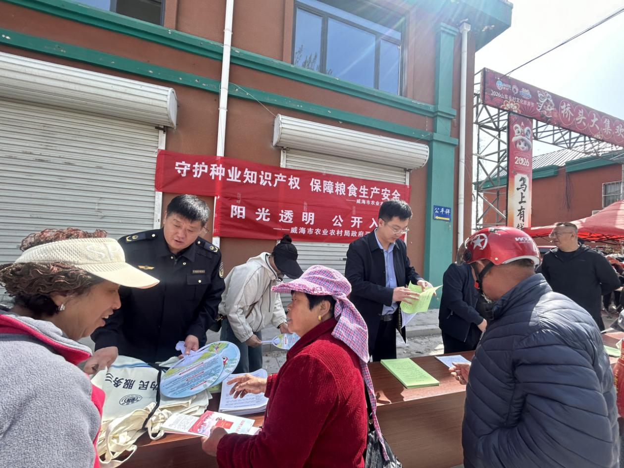 mg游戏试玩