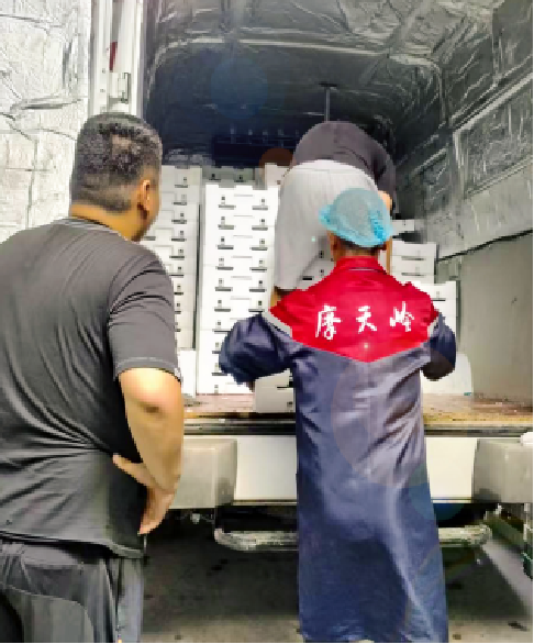 mg游戏试玩