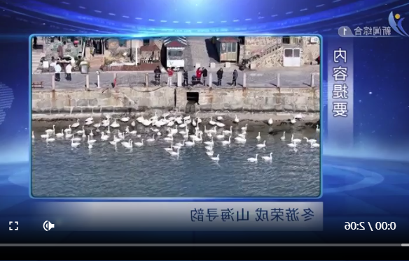 mg游戏试玩