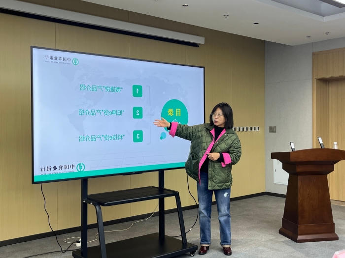 mg游戏试玩