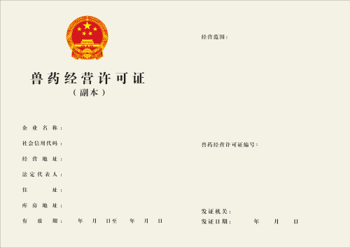 mg游戏试玩