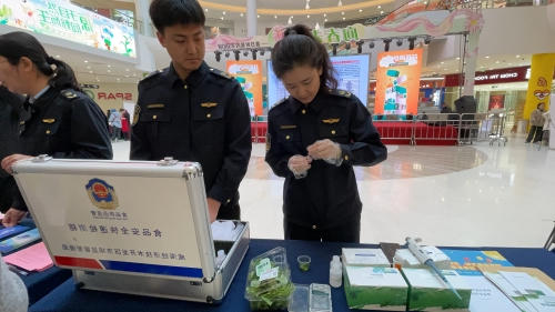 mg游戏试玩