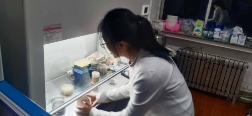 mg游戏试玩