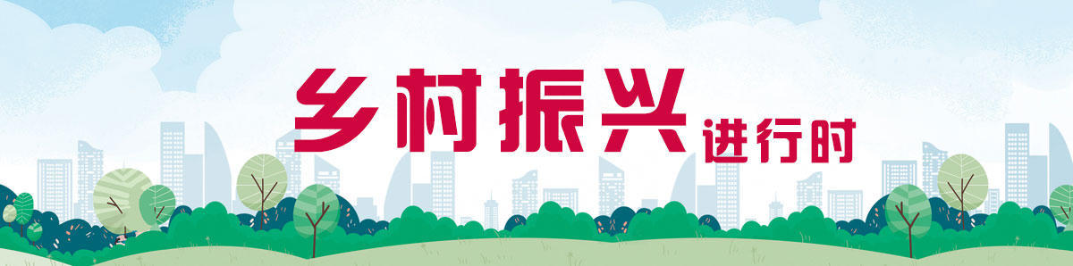 mg游戏试玩