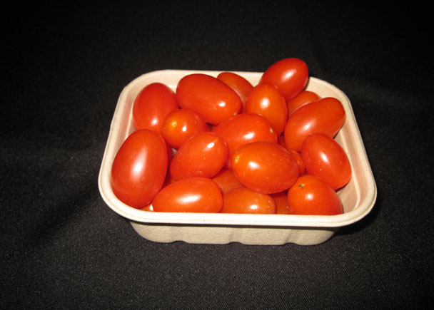 本色水果盒-纸浆模塑托盘